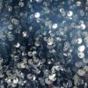 Sequins argentés