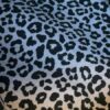 Motif 2